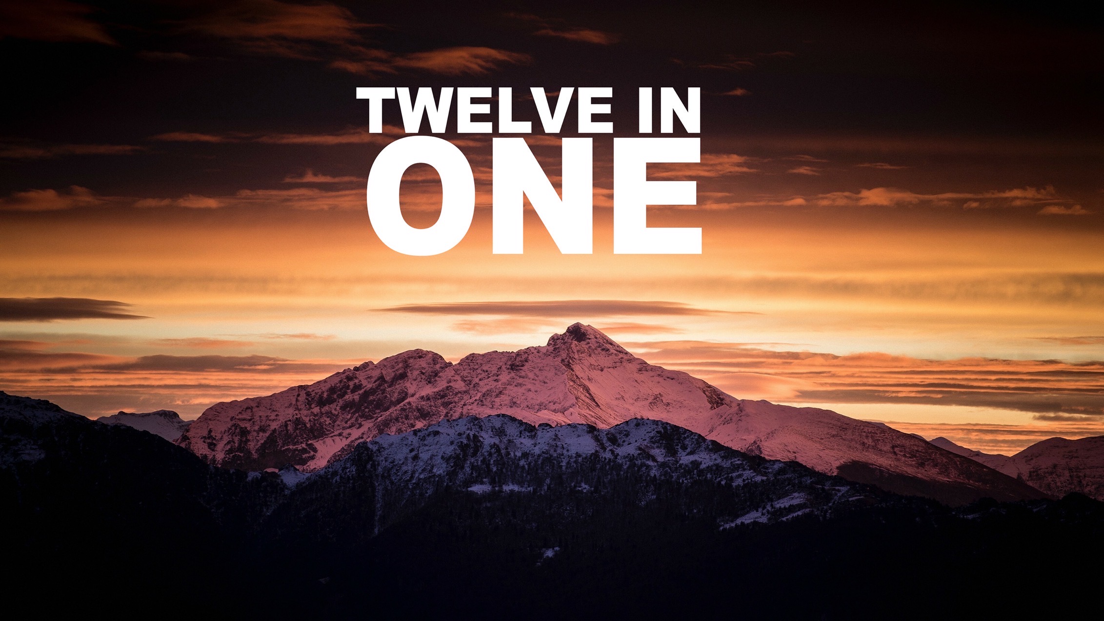 twelve in one cover